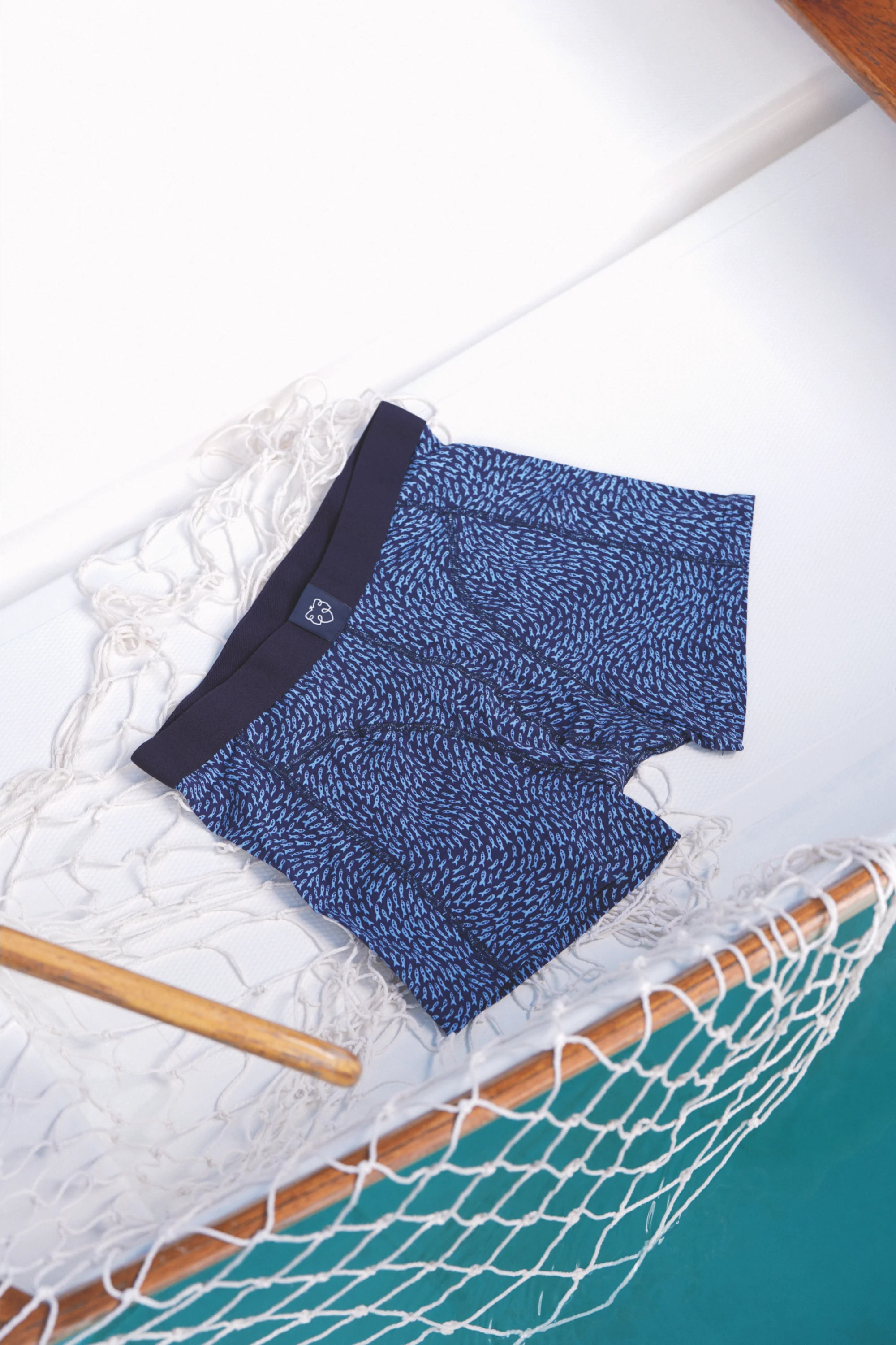 Blue Fish - Image 3