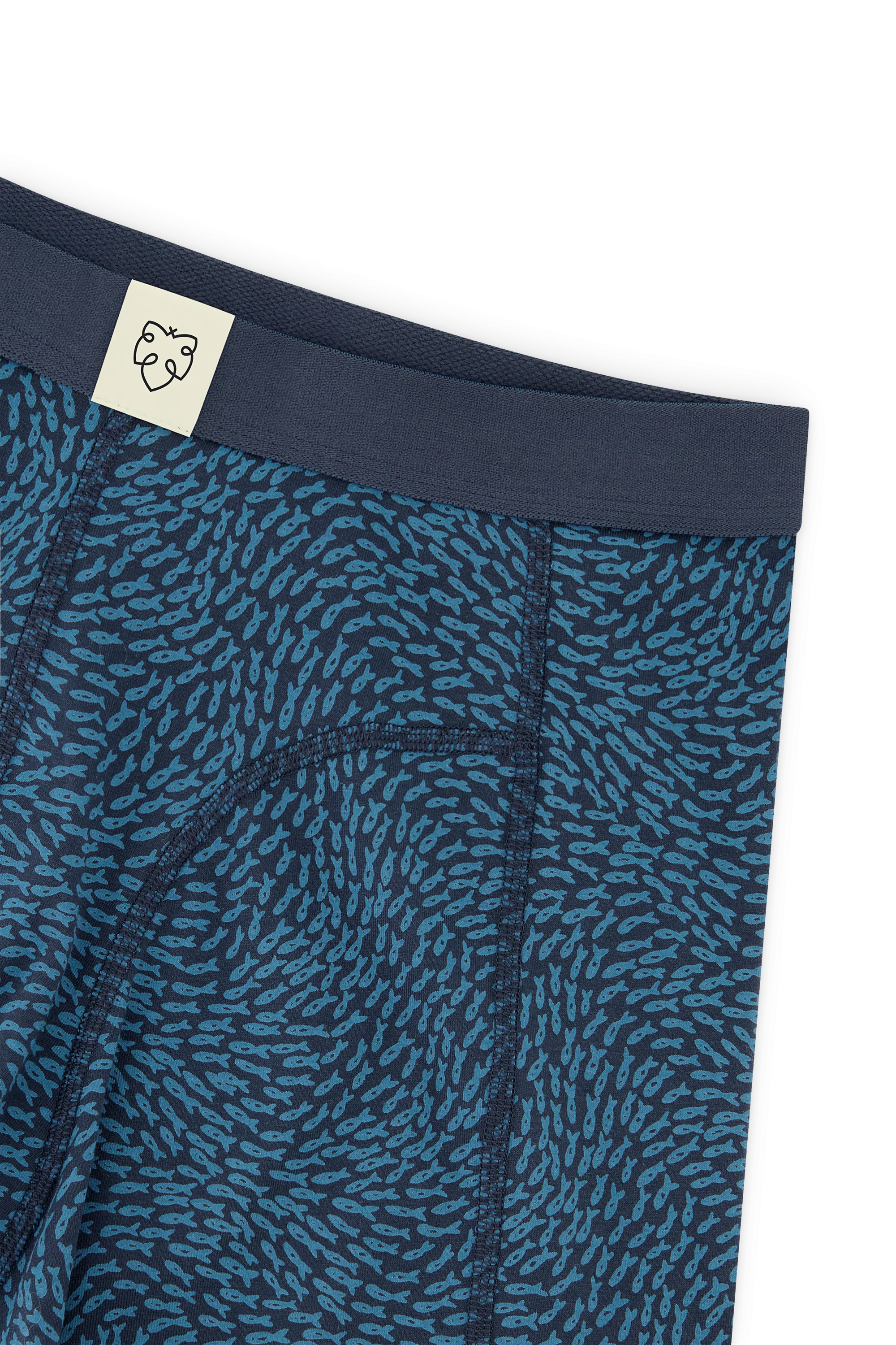 Blue Fish - Image 4