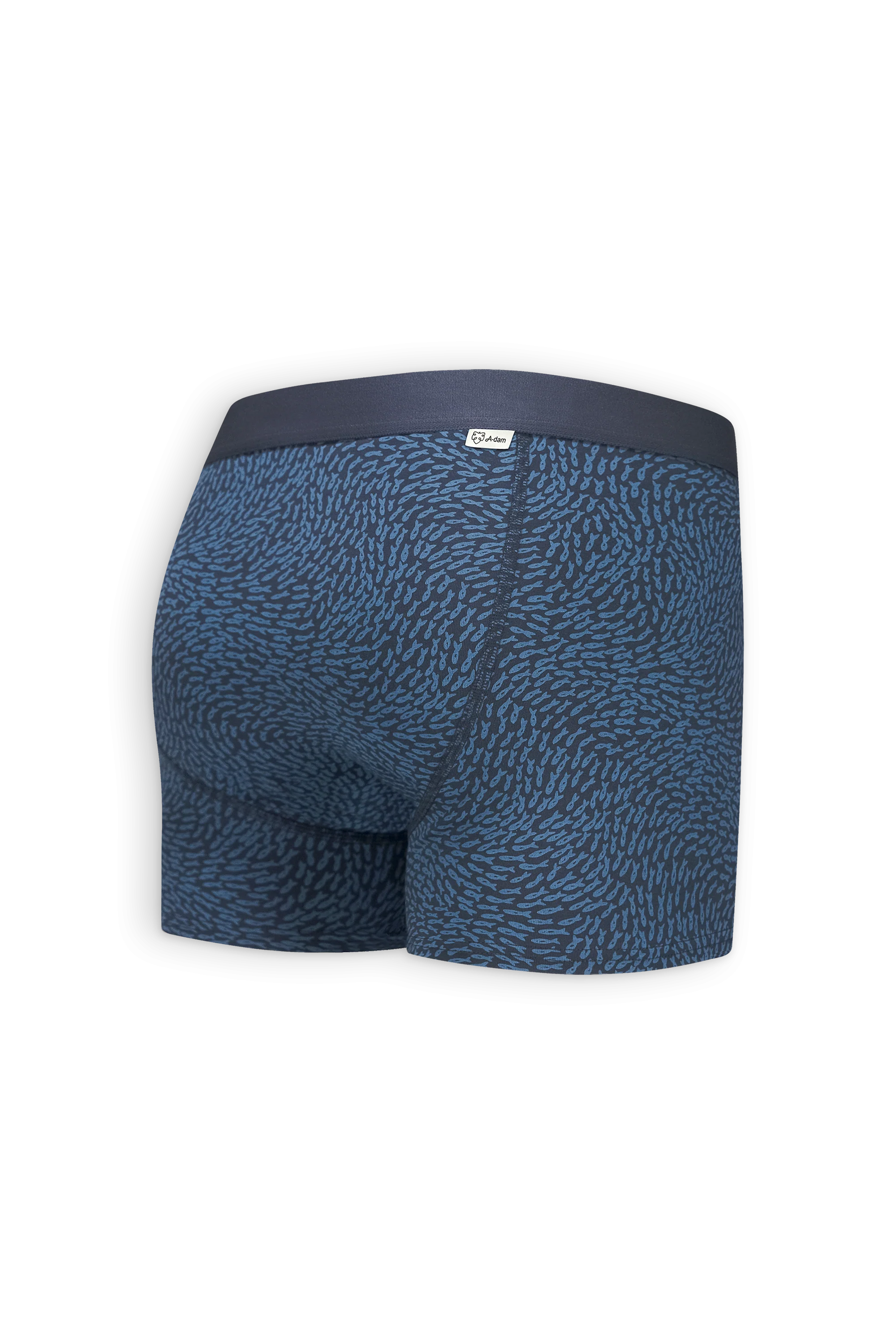 Blue Fish - Image 5