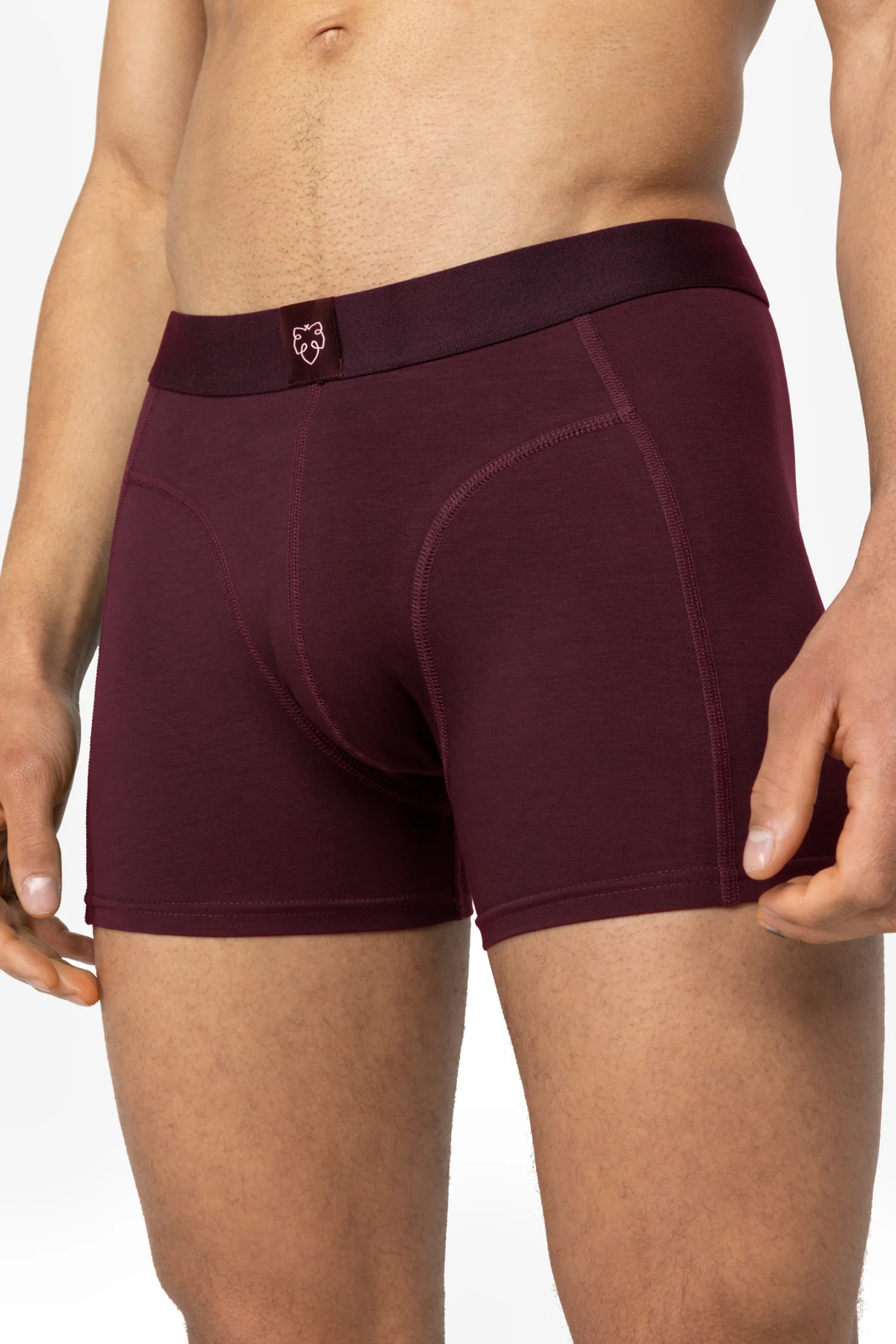 Bruno 3P - Image 3
