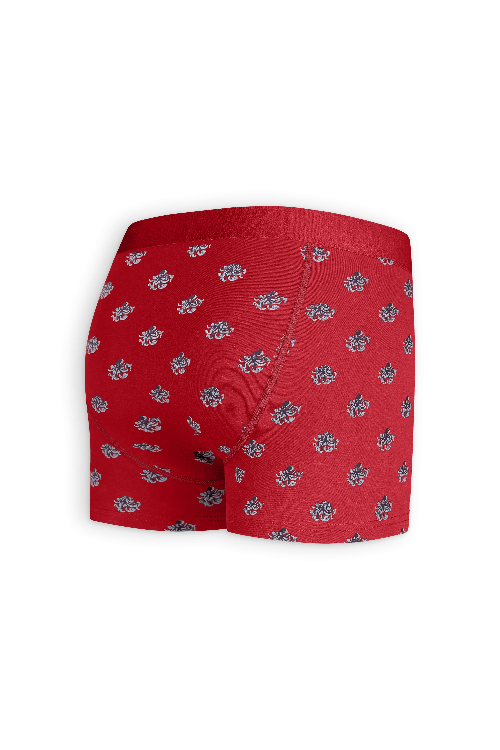 Red Octopus - Image 3