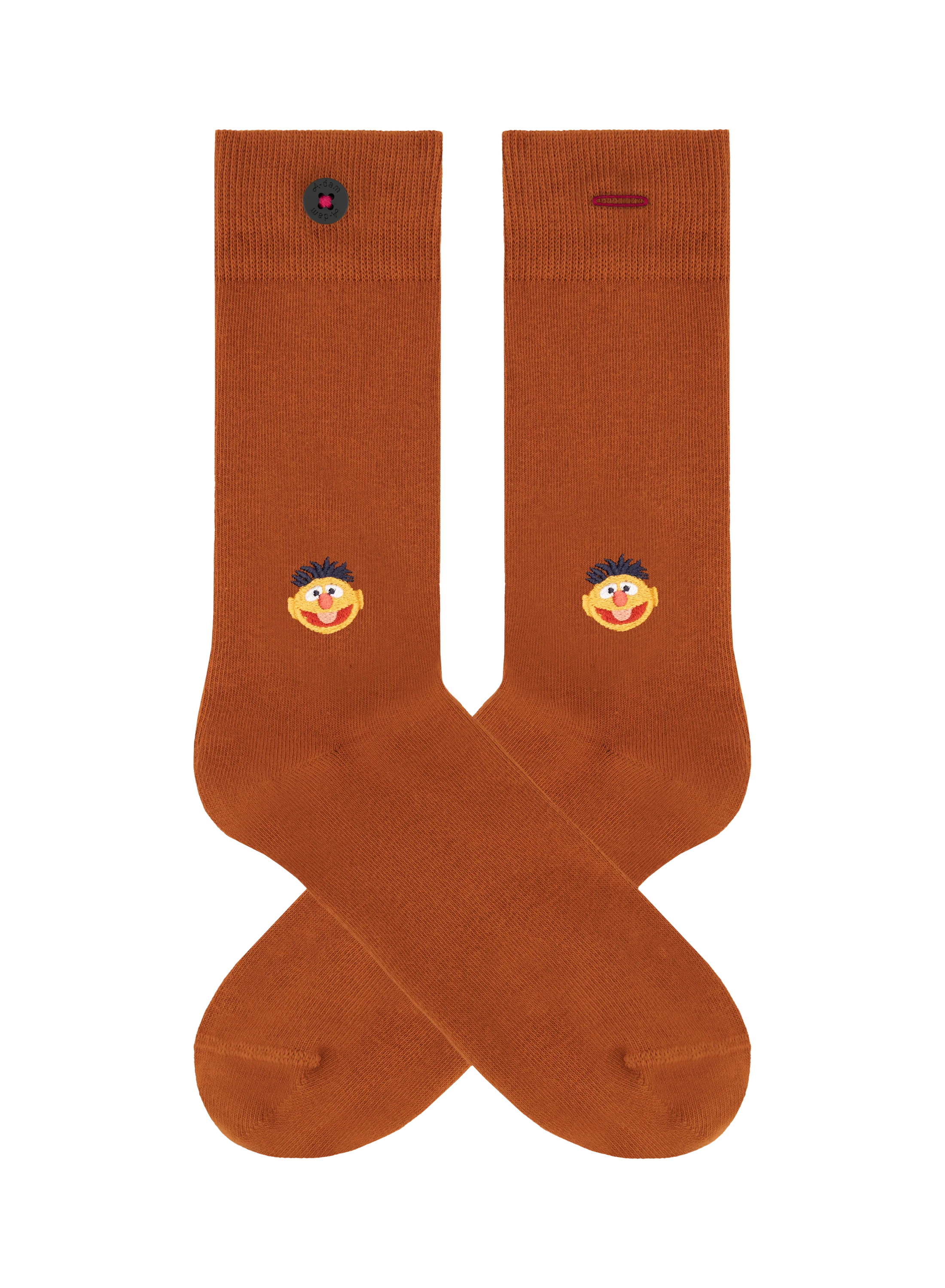 Sesame 2P - Image 3