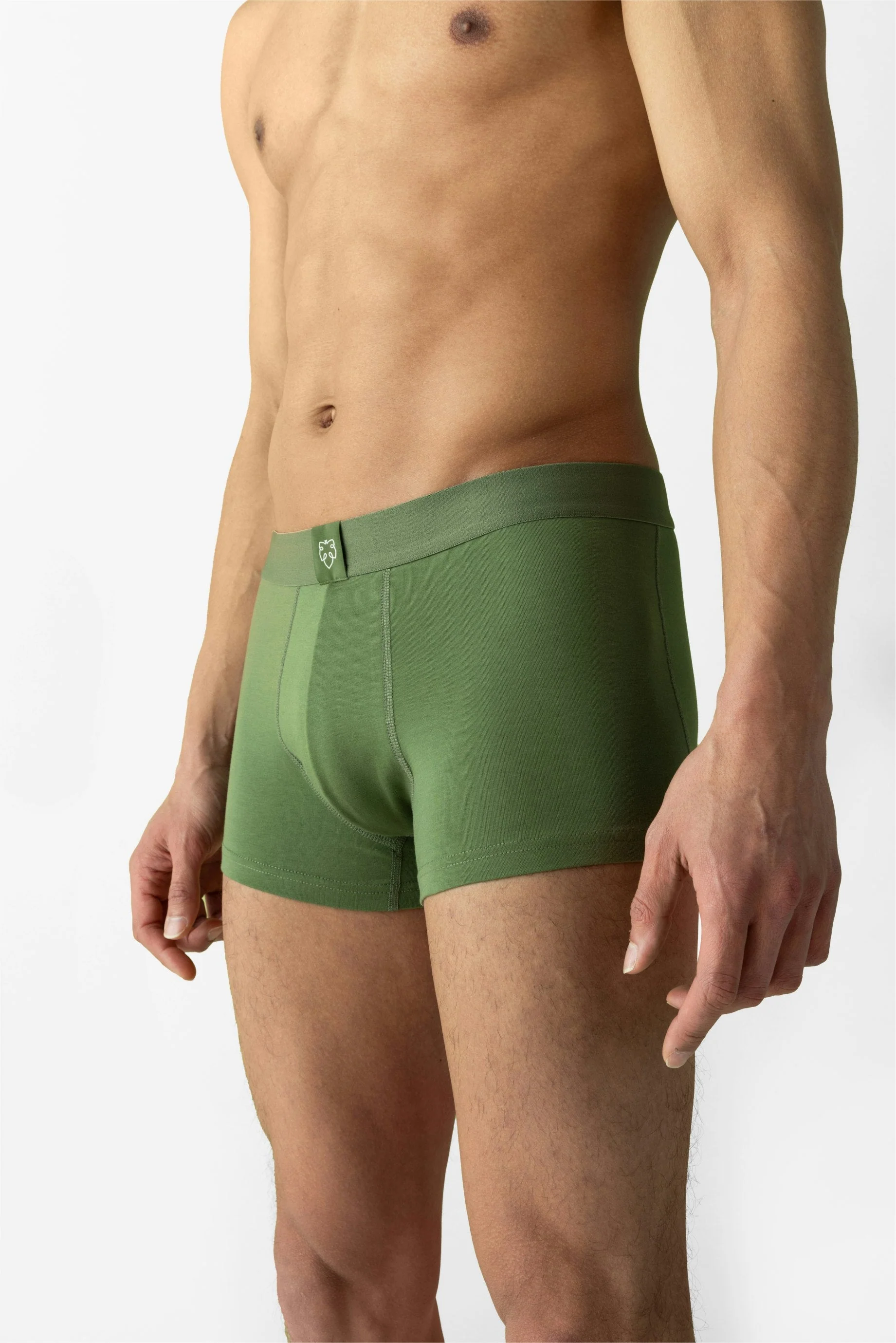 Solid Green Trunk - Image 2