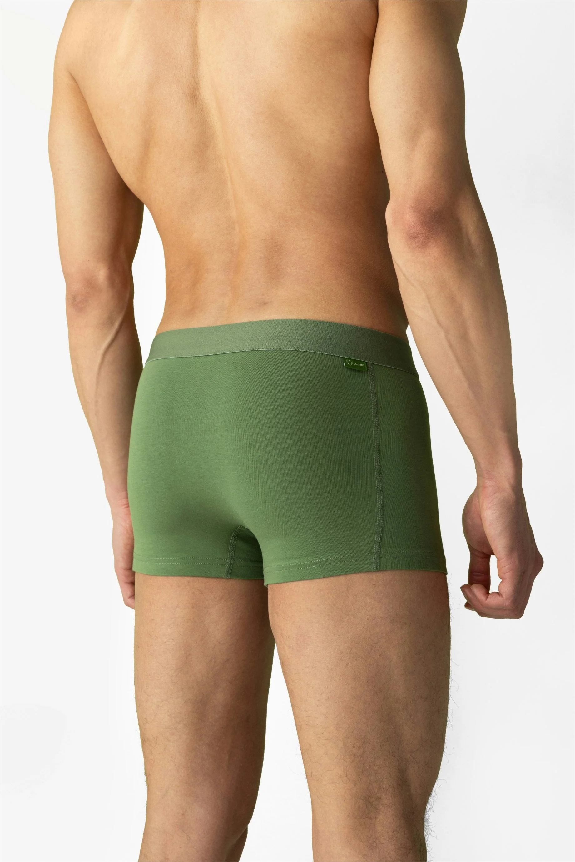 Solid Green Trunk - Image 4