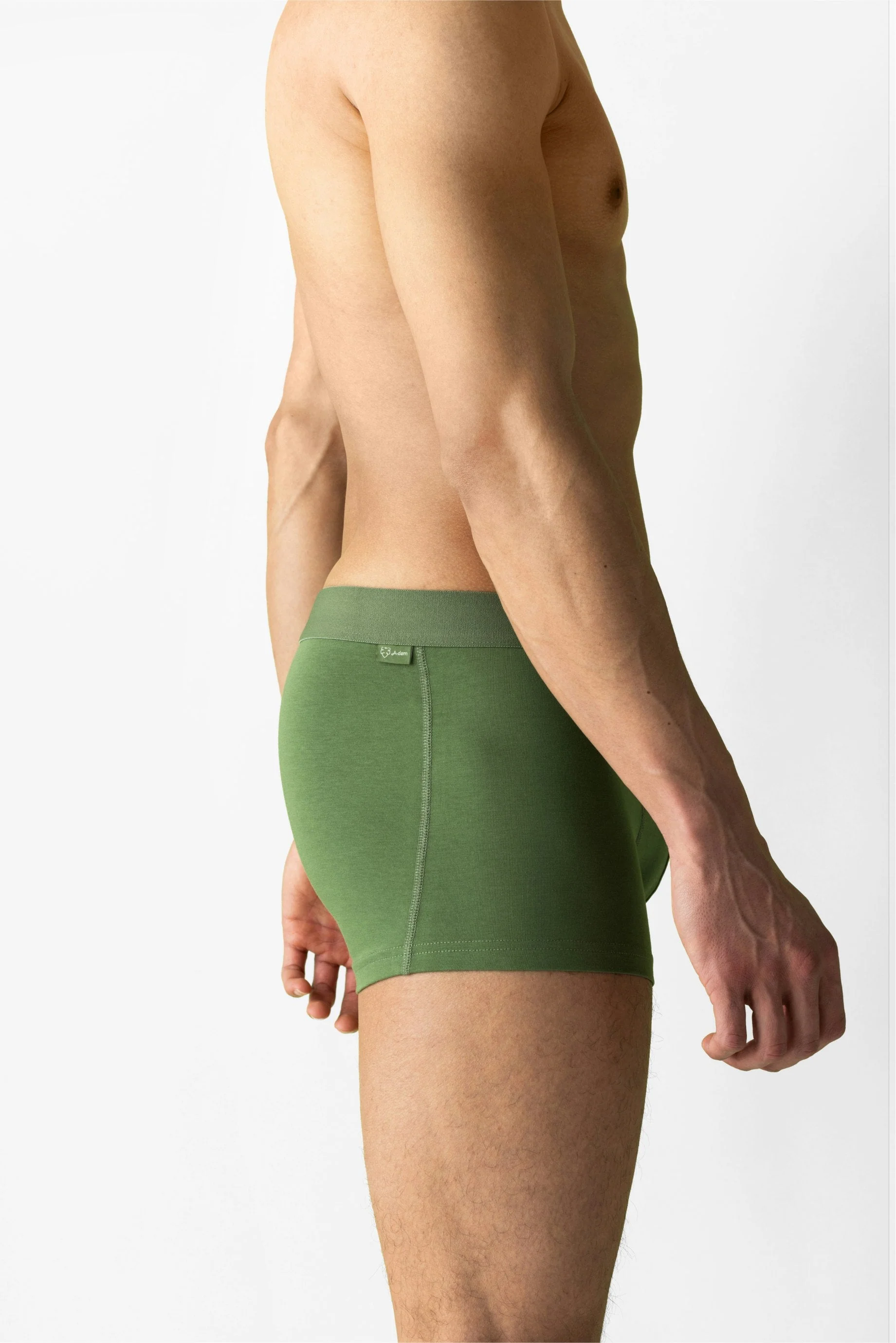 Solid Green Trunk - Image 5